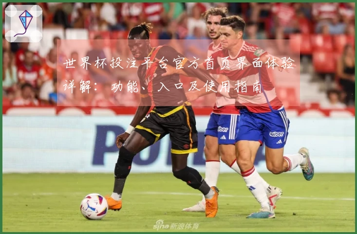 世界杯投注平台官方首页界面体验详解：功能、入口及使用指南