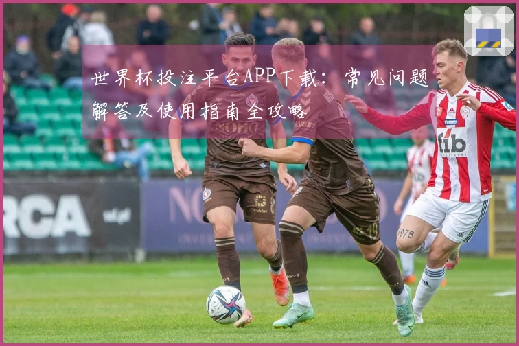 世界杯投注平台APP下载：常见问题解答及使用指南全攻略
