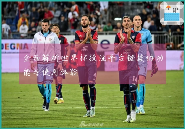全面解析世界杯投注平台链接的功能与使用体验
