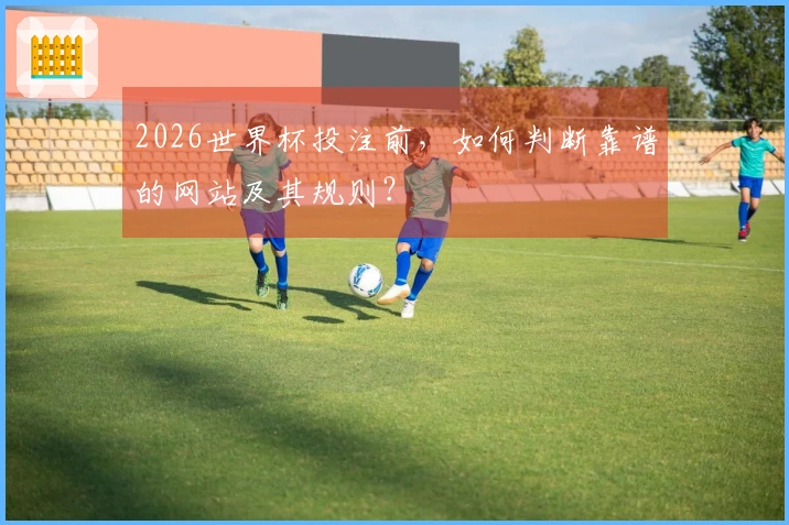 2026世界杯投注前，如何判断靠谱的网站及其规则？