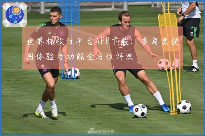 世界杯投注平台APP下载：多角度使用体验与功能全方位评测