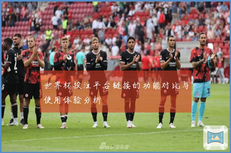 世界杯投注平台链接的功能对比与使用体验分析