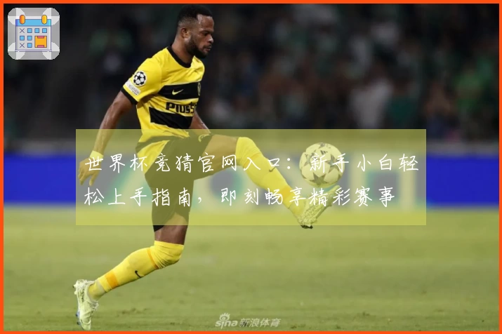 世界杯竞猜官网入口:新手小白轻松上手指南,即刻畅享精彩赛事