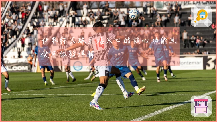世界杯买球主站入口的核心功能及使用体验详解