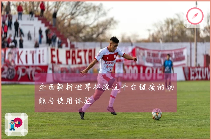 全面解析世界杯投注平台链接的功能与使用体验
