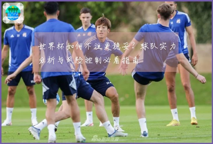世界杯如何下注更稳妥？球队实力分析与风险控制必看指南