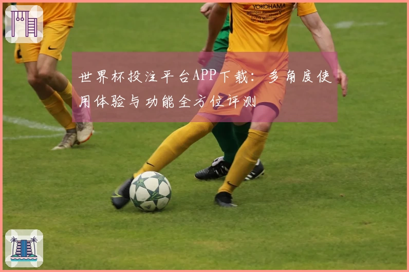 世界杯投注平台APP下载：多角度使用体验与功能全方位评测