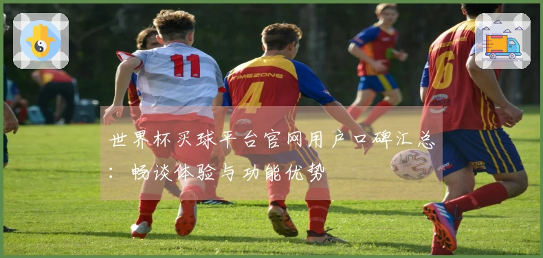 世界杯买球平台官网用户口碑汇总：畅谈体验与功能优势